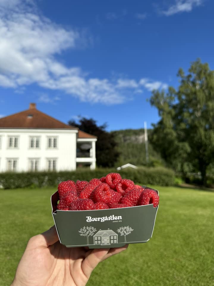 Bærgården