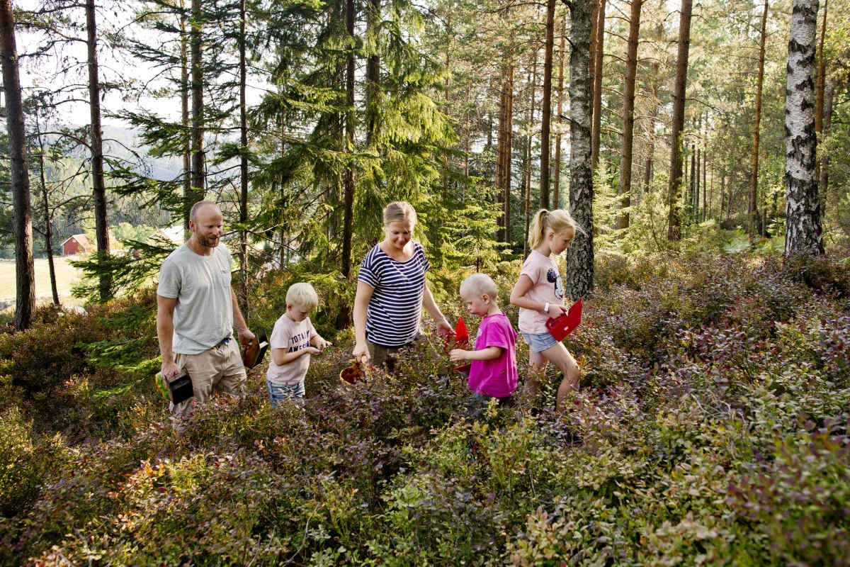Røyland Gård AS