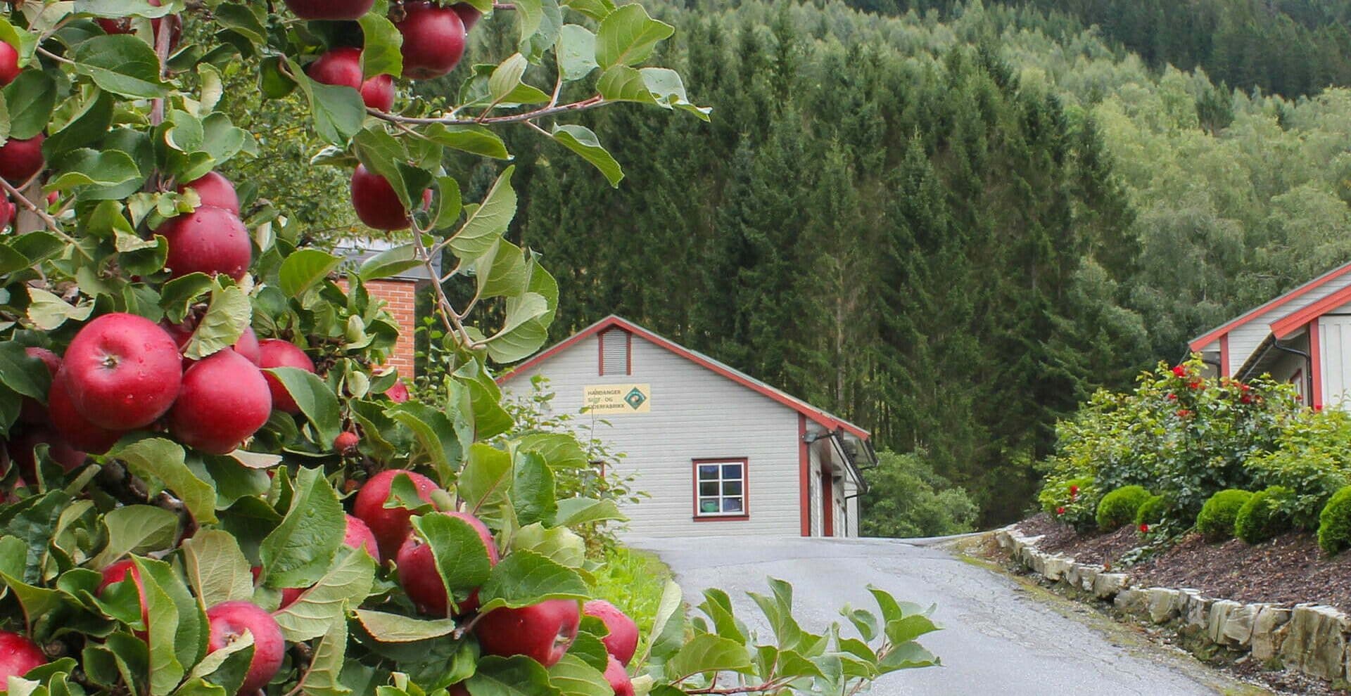 Hardanger Saft og Siderfabrikk