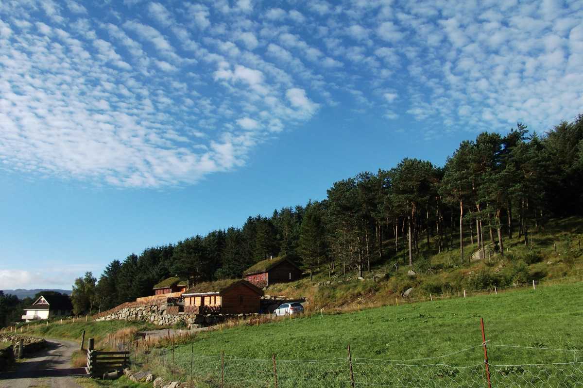 Søya Gardsutsalg