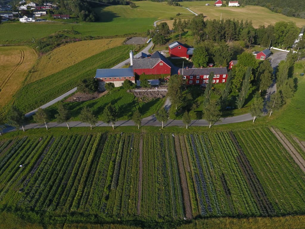 NerSalberg