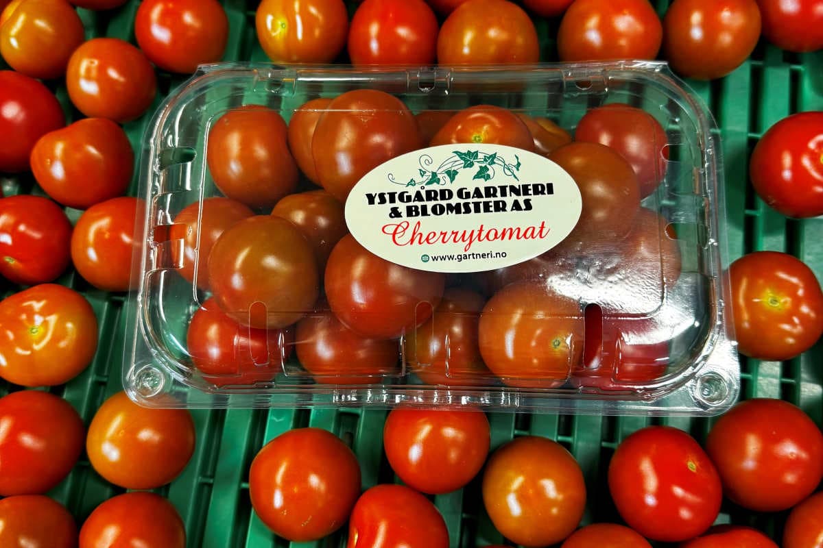 Ystgård gartneri og blomster as
